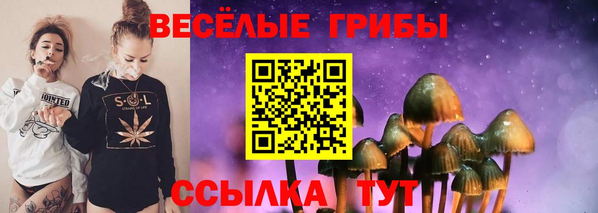 Галлюциногенные грибы мухоморы  Галлюциногенные грибы мухоморы  Вход с VPN  Чита 